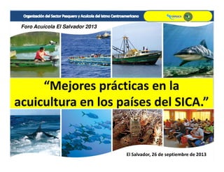 27/09/2013 1
“Mejores prácticas en la
Foro Acuícola El Salvador 2013
“Mejores prácticas en la
acuicultura en los países del SICA.”
El Salvador, 26 de septiembre de 2013
 
