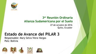 3er Reunión Ordinaria
Alianza Sudamericana por el Suelo
27 de octubre de 2016
Quito, Ecuador
Estado de Avance del PILAR 3
Responsable: Mary Selva Viera Vargas
País: Bolivia
 