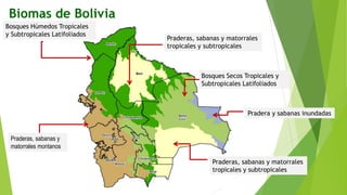 Biomas de Bolivia
Bosques Húmedos Tropicales
y Subtropicales Latifoliados
Praderas, sabanas y matorrales
tropicales y subtropicales
Bosques Secos Tropicales y
Subtropicales Latifoliados
Praderas, sabanas y
matorrales montanos
Pradera y sabanas inundadas
Praderas, sabanas y matorrales
tropicales y subtropicales
 
