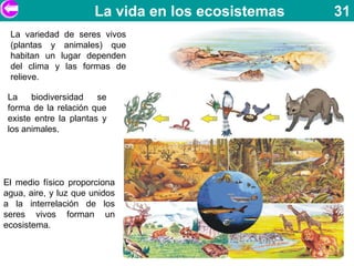 La vida en los ecosistemas   31
 La variedad de seres vivos
 (plantas y animales) que
 habitan un lugar dependen
 del clima y las formas de
 relieve.

 La    biodiversidad    se
 forma de la relación que
 existe entre la plantas y
 los animales.




El medio físico proporciona
agua, aire, y luz que unidos
a la interrelación de los
seres vivos forman un
ecosistema.
 