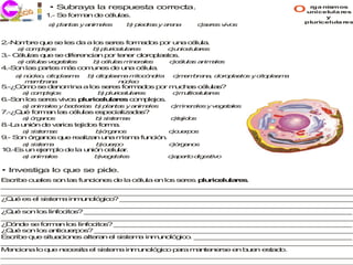 • Subraya la respuesta correcta.
           1 S form n d c lu s.
            .- e   a   e é la
                                                                                     orga nismos
                                                                                     unicelula res
                                                                                           y
                                                                                     pluricelula res
            a p n s y a im le
             ) la ta   n a s        b p d sy a n
                                     ) ie ra  re a         c e sv o
                                                            )s re iv s


2.-N m
    o bre q e s le da a lo s re fo a o p r un c lu .
           u   e s        s e s rm d s o     a é la
    a c m le s
     ) o p jo            b p ric lu re
                          ) lu e la s            c n e la s
                                                  )u ic lu re
3 C lu
 .- é las q e s d re ia p r te e cloro la to .
           u   e ife nc n o   n r     p s s
    a c lu s v g ta s
     ) é la e e le       b c lu s m e le
                          ) é la   in ra s       c é la a im le
                                                  )c lu s n a s
4 o las p
 .-S n   arte m s c m e d u a c lu .
             s á o un s e n    é la
   a n c o c p s a
    ) ú le , ito la m   b c p s a m c n ria
                         ) ito la m    ito ó d    c e b n , c ro la to y c p s a
                                                   )m m ra a lo p s s     ito la m
      m m ra a
       e b n                      n c o
                                   ú le
5 C m s d n m
 .-¿ ó o e e o ina a lo s re form d s p r m h s c lu s
                       s e s     a o   o   uc a é la ?
     a c m le s
      ) o p jo            b p ric lu re
                           ) lu e la s            c u e la s
                                                   )m ltic lu re
6 o los s re v o p ric lu re c m le s
 .-S n   e s iv s lu e la s o p jo .
     a a im le y b c ria b p n s y a im le
      ) n a s     a te s ) la ta    n a s        c in ra s y v g ta s
                                                  )m e le     e e le
7 Q é fo a la c lu
 .-¿ u  rm n s é las e p c liz d s
                      s e ia a a ?
     a ó a o
      ) rg n s            b s te a
                           ) is m s              c jid s
                                                  )te o
8 au
 .-L nión d v rio te os fo a
           e a s jid      rm .
     a s te a
      ) is m s            b rg n s
                           )ó a o                c u rp s
                                                  )c e o
9 S n ó a o q e rea a u a m m fu c n
 .- o  rg n s u    liz n n is a n ió .
     a s te a
      ) is m              b u rp
                           )c e o                c rg n s
                                                  )ó a o
1 .-E un e m lo d la u ió c lu r
 0 s      je p   e    n n e la .
     a a im le
      ) n a s            b e e le
                          )v g ta s              c p rto d e tiv
                                                  )a a    ig s o

• Investiga lo que se pide.
E c e cu le s n la fun io e d la cé la e lo s res p ric lu re .
 s rib  a s o       s   c n s e      lu  n s e       lu e la s
_ _ _ _ _ _ _ _ __ _ _ _ _ __ _ _ _ _ __ _ _ _ _ _ _ _ _ _ _ _ _ _ _ _ __ _ _ _
 _ _ __ _ _ _ _ _ _ _ _ _ _ _ _ _ _ _ _ _ _ _ _ __ _ _ _ _ __ _ _ _ _ _ _ _ _ _
_ _ _ _ _ _ _ _ __ _ _ _ _ __ _ _ _ _ __ _ _ _ _ _ _ _ _ _ _ _ _ _ _ _ __ _ _ _
 _ _ __ _ _ _ _ _ _ _ _ _ _ _ _ _ _ _ _ _ _ _ _ __ _ _ _ _ __ _ _ _ _ _ _ _ _ _
¿ u es e s te a in u o g o _ __ _ _ _ _ __ _ _ _ _ _ _ _ _ _ _ _ _ _ _ _ __ _ _
 Qé     l is m      m n ló ic ? _ _ _ _ _ _ _ _ _ _ _ __ _ _ _ _ __ _ _ _ _ _ _ _ _
_ _ _ _ _ _ _ _ __ _ _ _ _ __ _ _ _ _ __ _ _ _ _ _ _ _ _ _ _ _ _ _ _ _ __ _ _ _
 _ _ __ _ _ _ _ _ _ _ _ _ _ _ _ _ _ _ _ _ _ _ _ __ _ _ _ _ __ _ _ _ _ _ _ _ _ _
¿ u so lo lin c s __ _ _ _ _ __ _ _ _ _ __ _ _ _ _ _ _ _ _ _ _ _ _ _ _ _ __ _ _
 Qé    n s    fo ito ?   _ _ _ _ _ _ _ _ _ _ _ _ _ _ _ __ _ _ _ _ __ _ _ _ _ _ _ _
_ _ _ _ _ _ _ _ __ _ _ _ _ __ _ _ _ _ __ _ _ _ _ _ _ _ _ _ _ _ _ _ _ _ __ _ _ _
 _ _ __ _ _ _ _ _ _ _ _ _ _ _ _ _ _ _ _ _ _ _ _ __ _ _ _ _ __ _ _ _ _ _ _ _ _ _
¿ ó d s fo a lo lin c s _ _ _ _ _ _ _ _ _ _ _ _ _ _ _ _ _ _ __ _ _ _ _ __ _ _
 D n e e rm n s        fo ito ? _ _ __ _ _ _ _ __ _ _ _ _ __ _ _ _ _ _ _ _ _ _ _ _ _
¿ u so lo a tic e os _ _ _ _ _ _ _ _ _ __ _ _ _ _ __ _ _ _ _ _ _ _ _ _ _ _ _ _
 Qé    n s n u rp ? _ _ _ __ _ _ _ _ _ _ _ _ _ _ _ _ _ _ _ __ _ _ _ _ __ _ _ _
E c e qu s a io e alte n e s te a in u o g o _ _ _ _ _ _ _ _ _ _ _ __ _ _ _ _ __
 s rib   e itu c n s      ra   l is m   m n ló ic . __ _ _ _ _ __ _ _ _ _ _ _ _ _ _ _
_ _ _ _ _ _ _ _ __ _ _ _ _ __ _ _ _ _ __ _ _ _ _ _ _ _ _ _ _ _ _ _ _ _ __ _ _ _
 _ _ __ _ _ _ _ _ _ _ _ _ _ _ _ _ _ _ _ _ _ _ _ __ _ _ _ _ __ _ _ _ _ _ _ _ _ _
M n io
 e c na lo q e n c it el s te a in u ló ic p ra m n ne e e b e e t o.
            u   e es a      is m    m no g o a      a te rs  n u n s ad
_ _ _ _ _ _ _ _ __ _ _ _ _ __ _ _ _ _ __ _ _ _ _ _ _ _ _ _ _ _ _ _ _ _ __ _ _ _
 _ _ __ _ _ _ _ _ _ _ _ _ _ _ _ _ _ _ _ _ _ _ _ __ _ _ _ _ __ _ _ _ _ _ _ _ _ _
_ _ _ _ _ _ _ _ __ _ _ _ _ __ _ _ _ _ __ _ _ _ _ _ _ _ _ _ _ _ _ _ _ _ __ _ _ _
 _ _ __ _ _ _ _ _ _ _ _ _ _ _ _ _ _ _ _ _ _ _ _ __ _ _ _ _ __ _ _ _ _ _ _ _ _ _
 