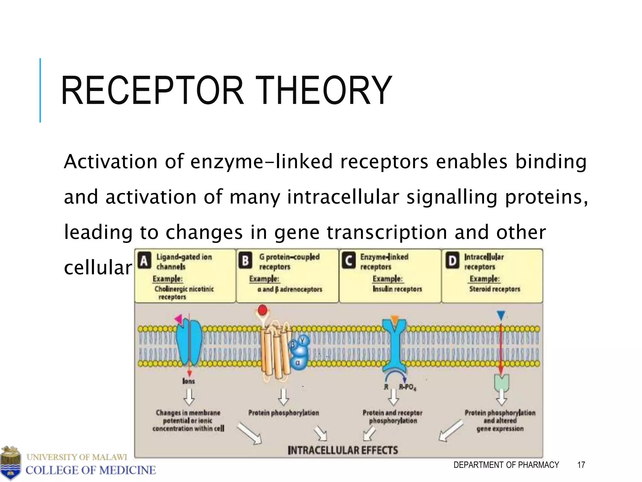 5 mechanisms of drug action | PPT