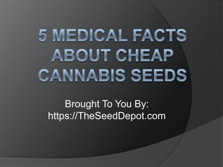 5 Medical Facts about Cheap Cannabis Seeds Brought To You By: https://TheSeedDepot.com 