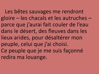 Les bêtes sauvages me rendront
gloire – les chacals et les autruches –
parce que j’aurai fait couler de l’eau
dans le désert, des fleuves dans les
lieux arides, pour désaltérer mon
peuple, celui que j’ai choisi.
Ce peuple que je me suis façonné
redira ma louange.
 