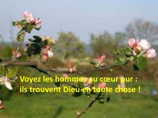 Voyez les hommes au cœur pur :
ils trouvent Dieu en toute chose !
 
