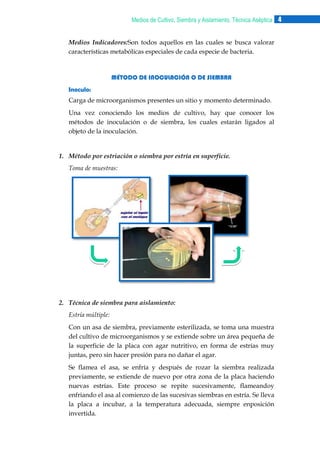 Medios de Cultivo, Siembra y Aislamiento, Técnica Aséptica 4
Medios Indicadores:Son todos aquellos en las cuales se busca valorar
características metabólicas especiales de cada especie de bacteria.

MÉTODO DE INOCULACIÓN O DE SIEMBRA
Inoculo:
Carga de microorganismos presentes un sitio y momento determinado.
Una vez conociendo los medios de cultivo, hay que conocer los
métodos de inoculación o de siembra, los cuales estarán ligados al
objeto de la inoculación.

1. Método por estriación o siembra por estría en superficie.
Toma de muestras:

2. Técnica de siembra para aislamiento:
Estría múltiple:
Con un asa de siembra, previamente esterilizada, se toma una muestra
del cultivo de microorganismos y se extiende sobre un área pequeña de
la superficie de la placa con agar nutritivo, en forma de estrías muy
juntas, pero sin hacer presión para no dañar el agar.
Se flamea el asa, se enfría y después de rozar la siembra realizada
previamente, se extiende de nuevo por otra zona de la placa haciendo
nuevas estrías. Este proceso se repite sucesivamente, flameandoy
enfriando el asa al comienzo de las sucesivas siembras en estría. Se lleva
la placa a incubar, a la temperatura adecuada, siempre enposición
invertida.

 