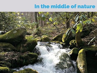 In the middle of nature
 