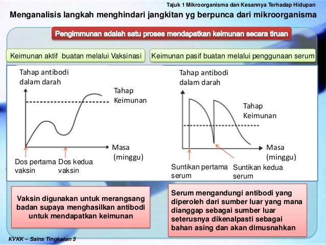 5 Menganalisis Langkah Menghindari Jangkitan Yang Berpunca Dari Mikro