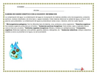 5°mi cuaderno de verano md