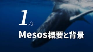 19
Mesos概要と背景
/3
 