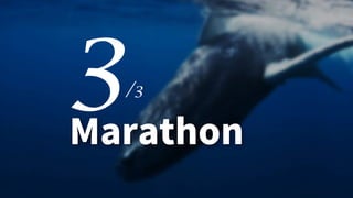 57
Marathon
/3
 