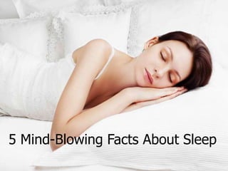 5 Mind-Blowing Facts About Sleep
 