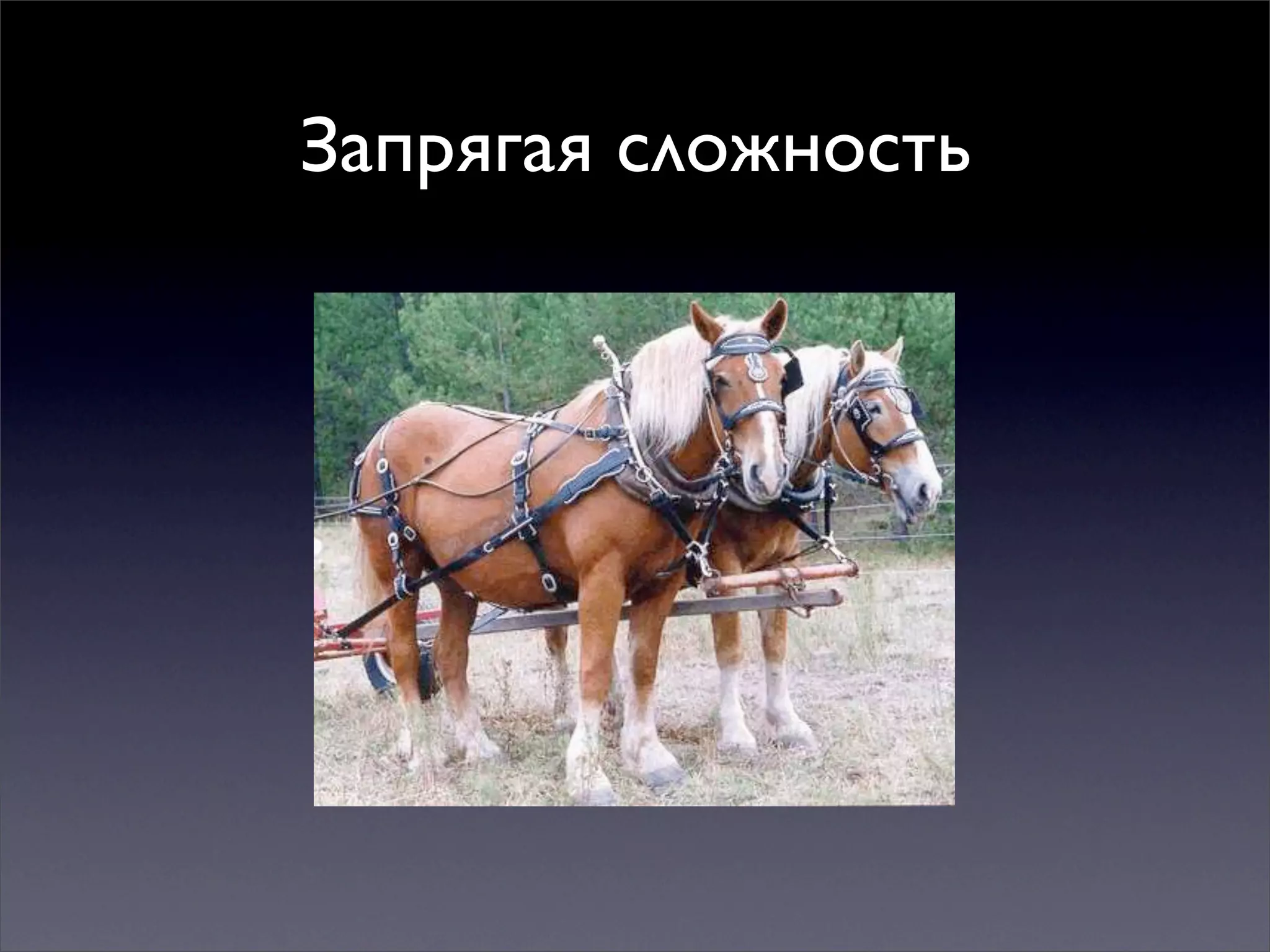 Multiple mindsets for thinking and action