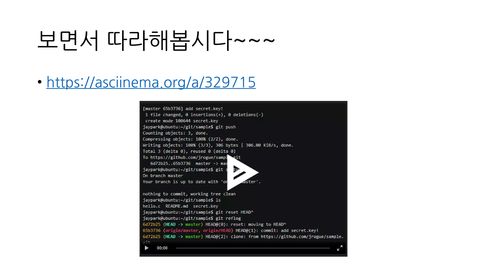 보면서 따라해봅시다~~~
• https://asciinema.org/a/329715
 