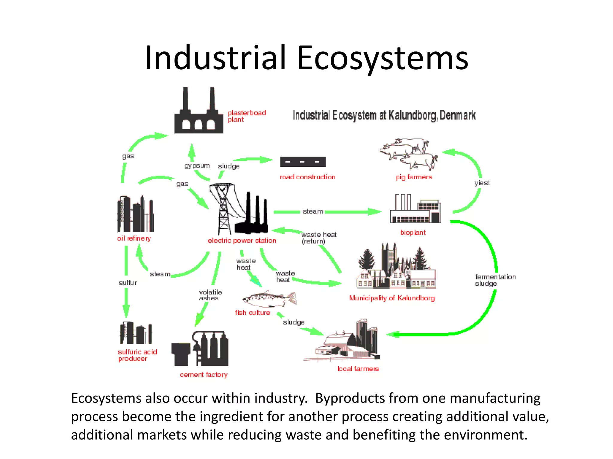 Industrial Ecosystems
Ecosystems also occur within industry. Byproducts from one manufacturing
process become the ingredient for another process creating additional value,
additional markets while reducing waste and benefiting the environment.