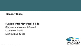 © 2018 IDEA Health & Fitness Association. All Rights Reserved.
Fundamental Movement Skills
Stationary Movement Control
Locomotor Skills
Manipulative Skills
Sensory Skills
 
