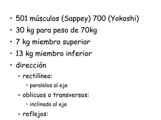 501 músculos (Sappey) 700 (Yokoshi) 30 kg para peso de 70kg 7 kg miembro superior 13 kg miembro inferior dirección rectilíneo: paralelos al eje oblicuos o transversos: inclinado al eje reflejos: cambian de dirección 