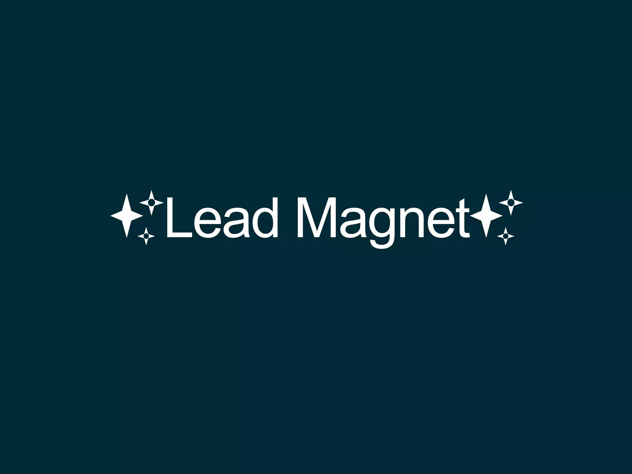✨Lead Magnet✨
 