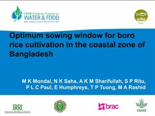 Optimum sowing window for boro
rice cultivation in the coastal zone of
Bangladesh
M K Mondal, N K Saha, A K M Sharifullah, S P Ritu,
P L C Paul, E Humphreys, T P Tuong, M A Rashid
 