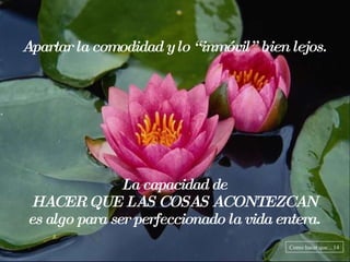 Apartar la comodidad y lo “inmóvil” bien lejos. La capacidad de HACER QUE LAS COSAS ACONTEZCAN es algo para ser perfeccionado la vida entera. Como hacer que... 14 