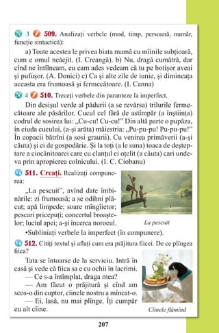 207
3 509. Analizaţi verbele (mod, timp, persoană, număr,
funcţie sintactică):
a) Toate acestea le privea biata mamă cu mîinile subţioară,
cum e omul neăcjit. (I. Creangă). b) Nu, dragă cumătră, dar
cînd ne întîlneam, eu cam ades vedeam că tu pe botişor aveai
şi pufuşor. (A. Donici) c) Ca şi alte zile de iunie, şi dimineaţa
aceasta era frumoasă şi fermecătoare. (I. Canna)
4 510. Treceţi verbele din paranteze la imperfect.
Din desişul verde al pădurii (a se revărsa) trilurile ferme-
cătoare ale păsărilor. Cucul cel fără de astîmpăr (a înştiinţa)
codrul de sosirea lui: „Cu-cu! Cu-cu!” Din altă parte o pupăza,
în ciuda cucului, (a-şi arăta) măiestria: „Pu-pu-pu! Pu-pu-pu!”
În copacii bătrîni (a sosi graurii). Cu venirea primăverii (a-şi
căuta) şi ei de gospodărie. Şi la toţi (a le suna) toaca de deştep-
tare a ciocănitoarei care cu clanţul ei oţelit (a căuta) cari unde-
va prin apropierea colnicului. (I. C. Ciobanu)
511. Creaţi. Realizaţi compune-
rea:
„La pescuit”, avînd date îmbi-
nările: zi frumoasă; a se odihni plă-
cut; apă limpede; soare mîngîietor;
pescari pricepuţi; concertul broaşte-
lor; luciul apei; a-şi încerca norocul.
•Subliniaţi verbele la imperfect (în compunere).
512. Citiţi textul şi aflaţi cum era prăjitura fiicei. De ce plîngea
fiica?
Tata se întoarse de la serviciu. Intră în
casă şi vede că fiica sa e cu ochii în lacrimi.
— Ce s-a întîmplat, draga mea?
— Am făcut o prăjitură şi cînd am
scos-o din cuptor, cîinele nostru a mîncat-o.
— Ei, lasă, nu mai plînge. Îţi cumpăr
eu alt cîine.
La pescuit
Сîinele ﬂămînd
Право для безоплатного розміщення підручника в мережі Інтернет має
Міністерство освіти і науки України http://mon.gov.ua/ та Інститут модернізації змісту освіти https://imzo.gov.ua
 