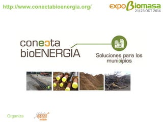 http://www.conectabioenergia.org/ 
Organiza 
 