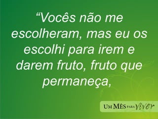 “ Vocês não me escolheram, mas eu os escolhi para irem e darem fruto, fruto que permaneça,  