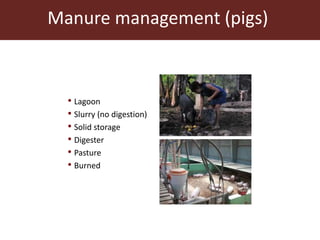 The Livestock Geo-Wiki: Manure management module