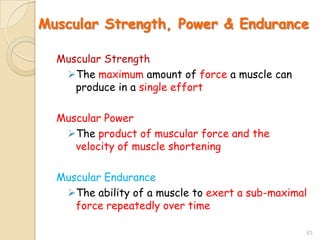 Muscular System (Our Muscle) | PPTX