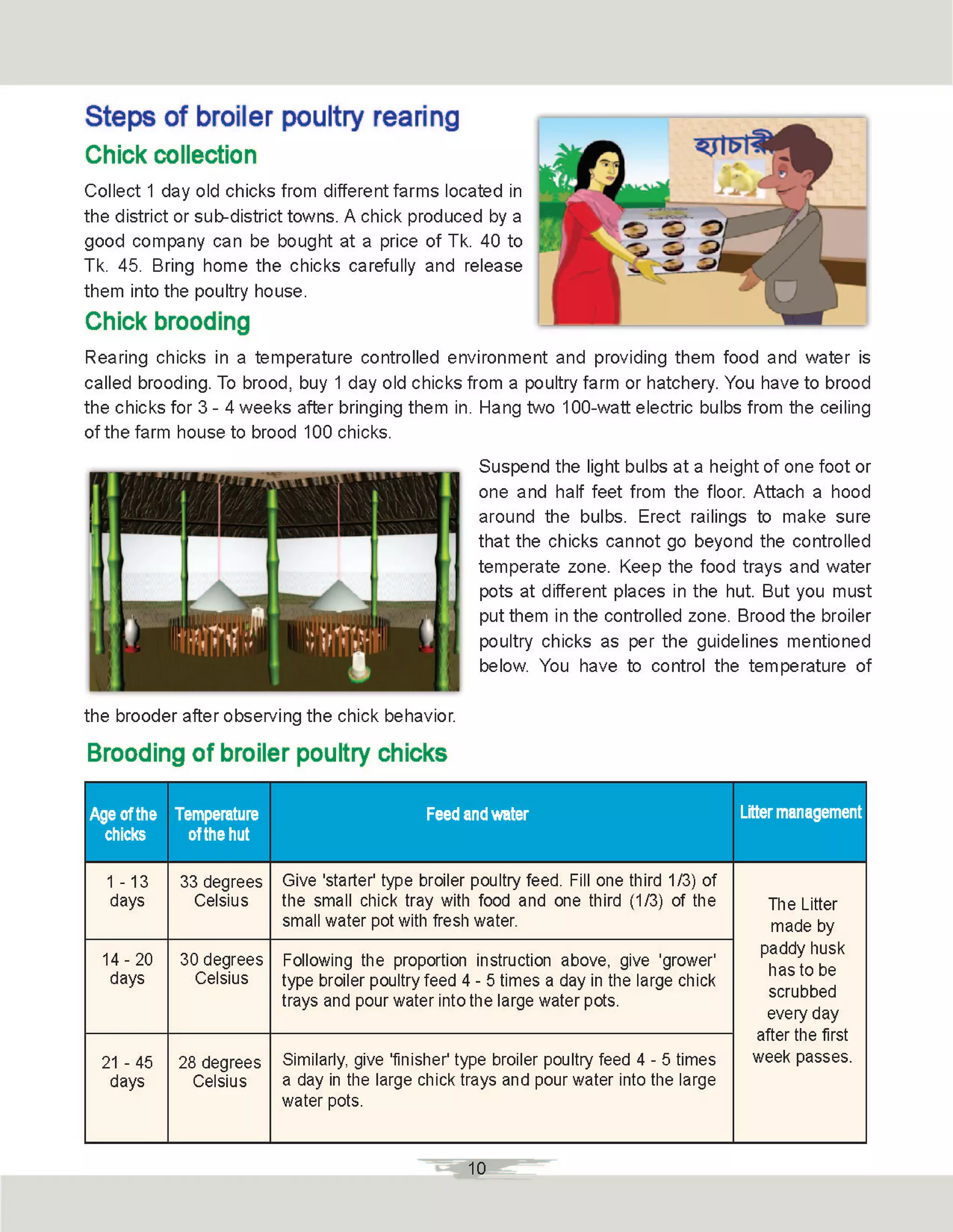 Booklet poultry rearing- পোল্ট্রি পালন | PDF