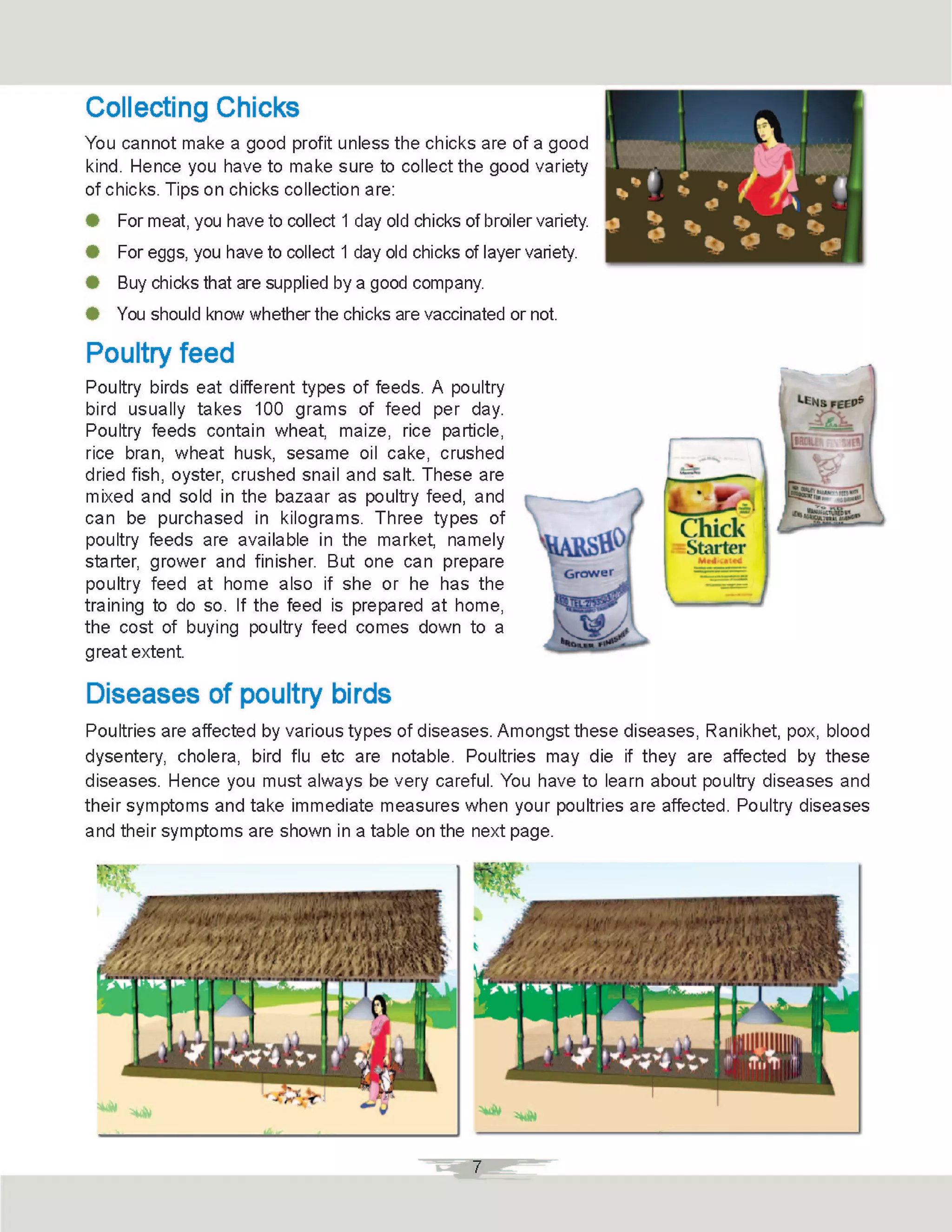 Poultry Guide.pdf Booklet poultry rearing- পোল্ট্রি পালন | PDF