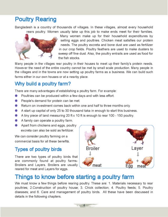 Chicken Medication Chart