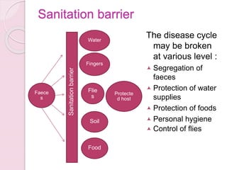Sanitation barrier
The disease cycle
may be broken
at various level :
 Segregation of
faeces
 Protection of water
supplies
 Protection of foods
 Personal hygiene
 Control of flies
Faece
s
Water
Fingers
Flie
s
Soil
Food
Sanitationbarrier
Protecte
d host
 