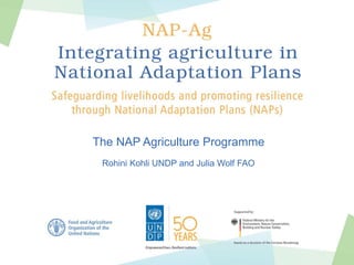 The NAP Agriculture Programme
Rohini Kohli UNDP and Julia Wolf FAO
 
