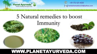 5 Natural remedies to boost
Immunity
WWW.PLANETAYURVEDA.COM
+91-172-521-4030
herbalremedies123@yahoo.com
 