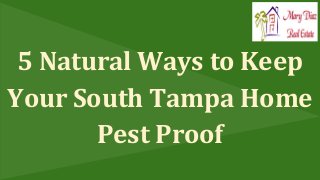 5 Natural Ways to Keep
Your South Tampa Home
Pest Proof
 