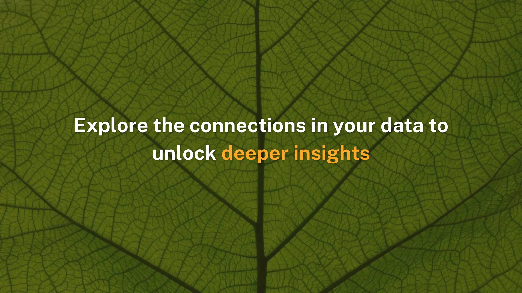 Explore the connections in your data to
unlock deeper insights
 