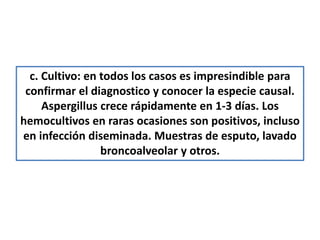 c. Cultivo: en todos los casos es impresindible para
 confirmar el diagnostico y conocer la especie causal.
     Aspergillus crece rápidamente en 1-3 días. Los
hemocultivos en raras ocasiones son positivos, incluso
en infección diseminada. Muestras de esputo, lavado
                 broncoalveolar y otros.
 