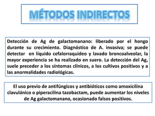 Detección de Ag de galactomanano: liberado por el hongo
durante su crecimiento. Diagnóstico de A. invasiva; se puede
detectar en líquido cefalorraquídeo y lavado broncoalveolar, la
mayor experiencia se ha realizado en suero. La detección del Ag,
suele preceder a los síntomas clínicos, a los cultivos positivos y a
las anormalidades radiológicas.

   El uso previo de antifúngicos y antibióticos como amoxicilina
clavulánico o piperacilina tazobactam, puede aumentar los niveles
        de Ag galactomanano, ocasionado falsos positivos.
 