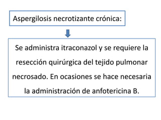 Aspergilosis necrotizante crónica:


Se administra itraconazol y se requiere la
 resección quirúrgica del tejido pulmonar
necrosado. En ocasiones se hace necesaria
   la administración de anfotericina B.
 