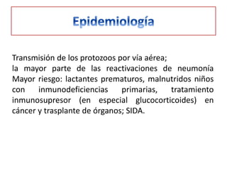 Transmisión de los protozoos por vía aérea;
la mayor parte de las reactivaciones de neumonía
Mayor riesgo: lactantes prematuros, malnutridos niños
con    inmunodeficiencias     primarias,    tratamiento
inmunosupresor (en especial glucocorticoides) en
cáncer y trasplante de órganos; SIDA.
 