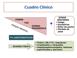 OTROS
   FIEBRE                             SÍNTOMAS
            TOS
                                +    • Fatiga
                                     • Escalofríos
                  DISNEA             • Dolor de pecho
                  PROGRESIVA         • Pérdida de
                                       peso


7% ASINTOMÁTICOS

                    • Fiebre (38.1ºC), taquipnea
                    • Crepitantes y ronquidos
  EXAMEN FÍSICO     • Hepatoesplenomegalia, lesiones
                     superficiales y derrame
 