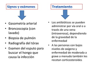 • Gasometría arterial      • Los antibióticos se pueden
                             administrar por vía oral o a
• Broncoscopia (con          través de una vena
  lavado)                    (intravenosa), dependiendo
• Biopsia de pulmón          de la gravedad de la
                             enfermedad
• Radiografía del tórax
                           • A las personas con bajos
• Examen del esputo para     niveles de oxígeno y
  buscar el hongo que        enfermedad de moderada a
  causa la infección         grave a menudo también les
                             recetan corticosteroides
 