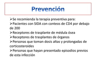 Se recomienda la terapia preventiva para:
Pacientes con SIDA con conteos de CD4 por debajo
de 200
Receptores de trasplante de médula ósea
Receptores de trasplantes de órganos
Personas que toman dosis altas y prolongadas de
corticosteroides
Personas que hayan presentado episodios previos
de esta infección
 