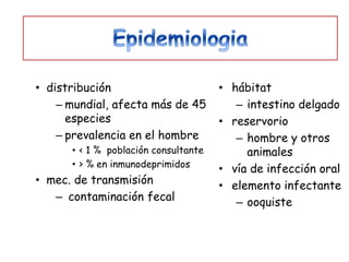 • distribución                        • hábitat
    – mundial, afecta más de 45          – intestino delgado
      especies                        • reservorio
    – prevalencia en el hombre           – hombre y otros
      • < 1 % población consultante        animales
      • > % en inmunodeprimidos
                                      • vía de infección oral
• mec. de transmisión                 • elemento infectante
   – contaminación fecal                 – ooquiste
 