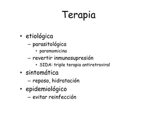 Terapia

• etiológica
  – parasitológica
     • paromomicina
  – revertir inmunosupresión
     • SIDA: triple terapia antiretroviral
• sintomática
  – reposo, hidratación
• epidemiológico
  – evitar reinfección
 
