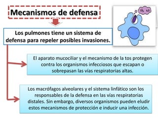 Mecanismos de defensa

   Los pulmones tiene un sistema de
defensa para repeler posibles invasiones.

          El aparato mucociliar y el mecanismo de la tos protegen
              contra los organismos infecciosos que escapan o
                   sobrepasan las vías respiratorias altas.


        Los macrófagos alveolares y el sistema linfático son los
           responsables de la defensa en las vías respiratorias
        distales. Sin embargo, diversos organismos pueden eludir
        estos mecanismos de protección e inducir una infección.
 
