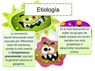 Etiología


                                   Es la más frecuente en
      La neumonía                   todos los grupos de
bacteriana puede estar            edad, aunque los recién
causada por diferentes                nacidos son más
   tipos de bacterias,                   propensos a
 siendo la más común               desarrollar neumonías
    el Streptococcus                       víricas.
 pneumoniae, que por
 lo general coloniza la
        garganta.
 