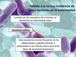 Debido a la escasa incidencia de
               estas bacterias en la enfermedad

  cuando son las causantes de la misma, se
      denomina la enfermedad como


neumonía atípica


      Esta neumonía es más frecuente en los
         adolescentes y adultos jóvenes y
    acostumbra a ser menos severa que otros
          tipos de neumonía bacteriana
 
