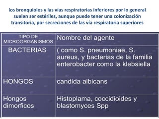 los bronquiolos y las vías respiratorias inferiores por lo general
  suelen ser estériles, aunque puede tener una colonización
 transitoria, por secreciones de las vía respiratoria superiores
 